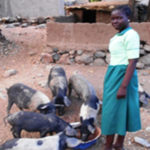 KELLOU – CFAJAM-IFER DE MAROUA